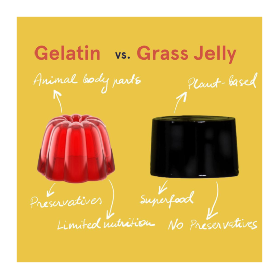 Grass Jelly vs Flavored Jelly?
